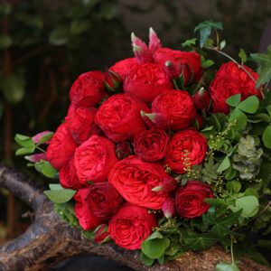 ガーデンローズ【ピアノ】