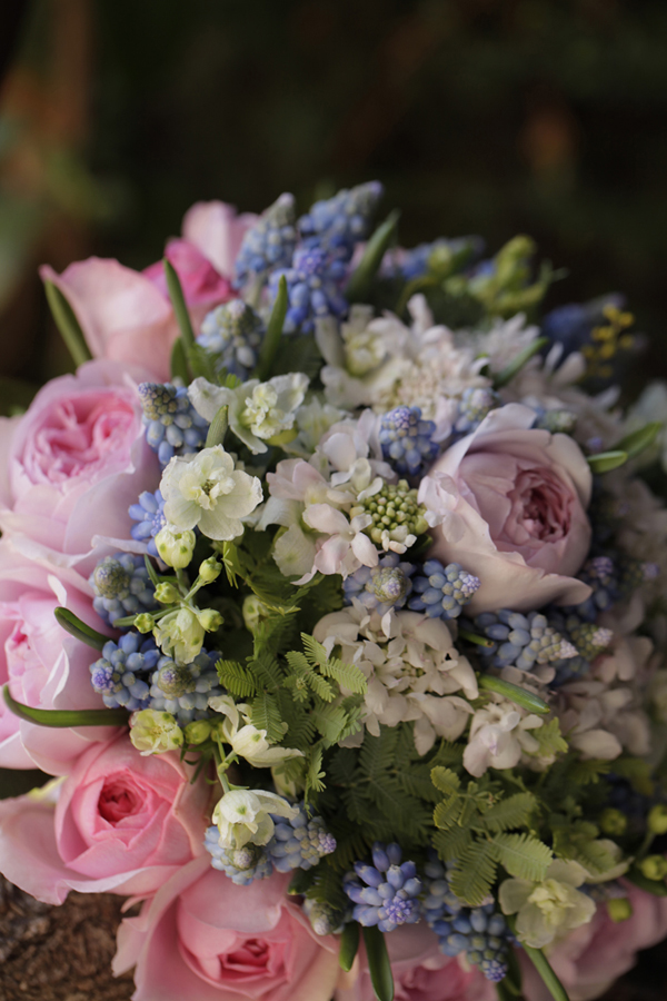 ビクトリアンビダマイヤー