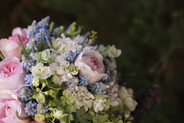 ビクトリアンビダマイヤー