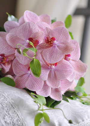 コチョウランのブーケ