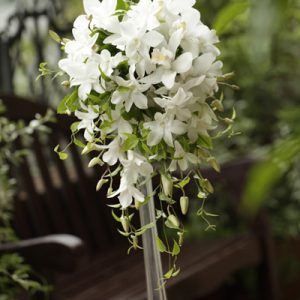 デンファレのキャスケードブーケ