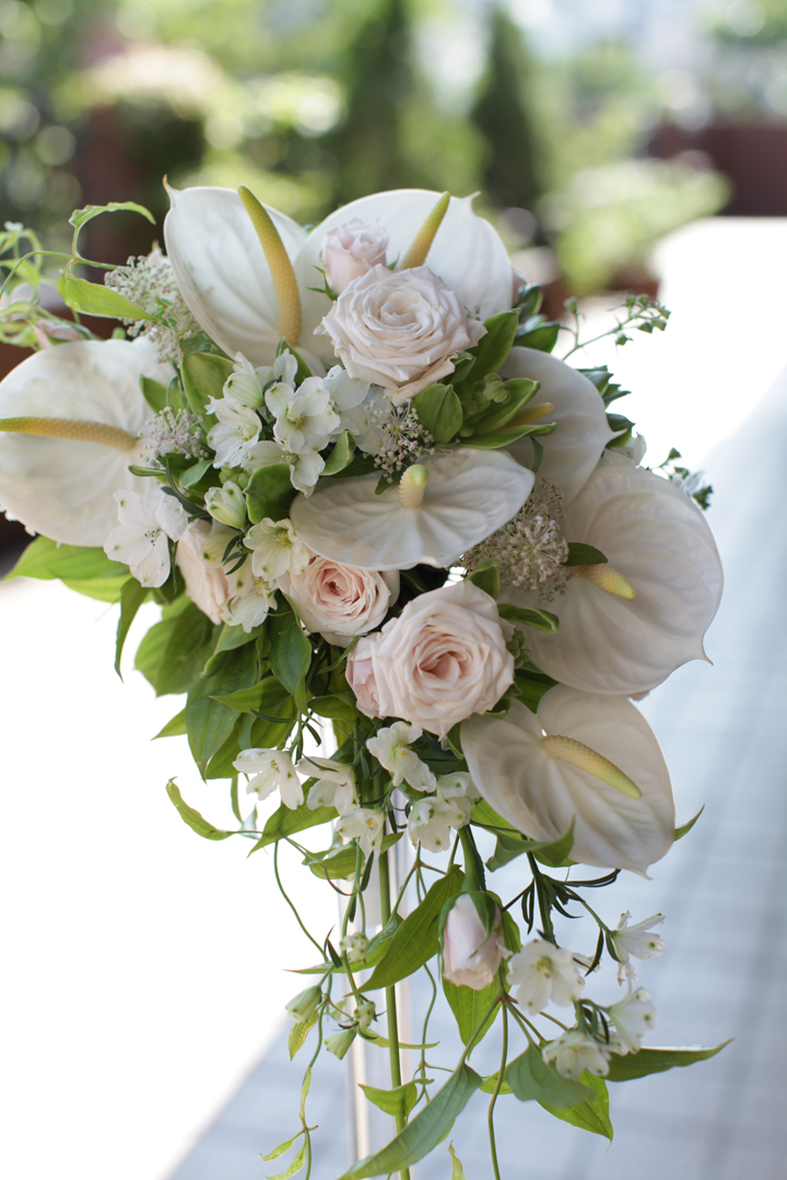 アンスリウムのウェディング