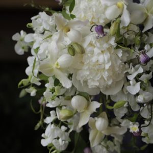 シャクヤクのブーケ