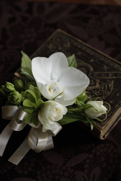 胡蝶蘭のブートニア