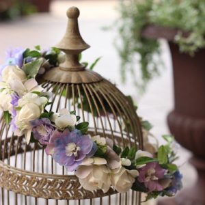 デルフィ二ウムの花冠