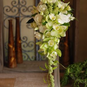 シンビジウムのキャスケード