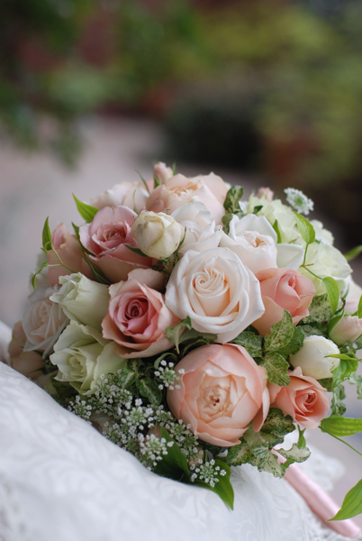 アプリコットファンデーション