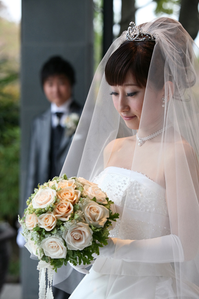 ビクトリアンビダマイヤー