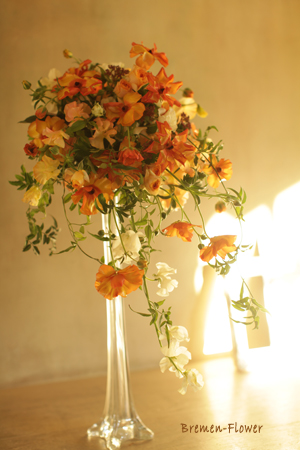 ラナンキュラスのセミキャスケード