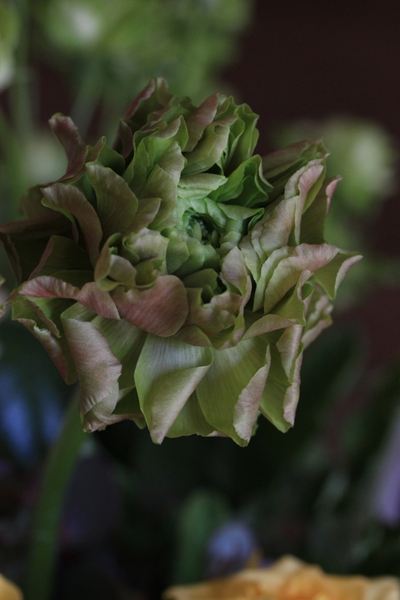 春のクラッチブーケ