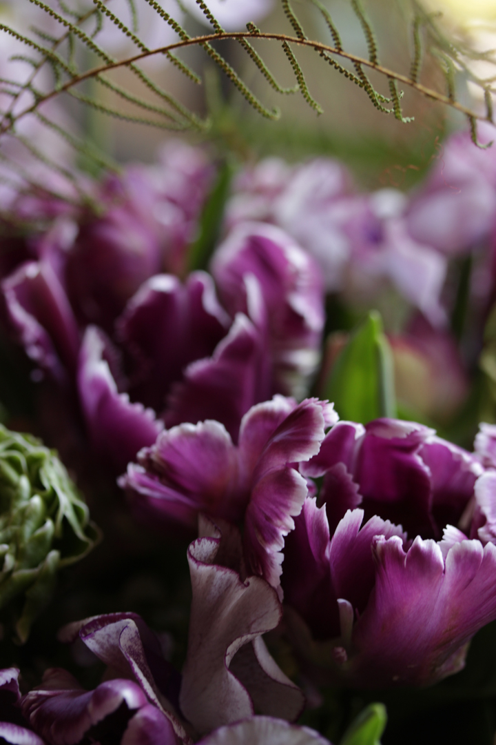 ミステリアスパロットのブーケ