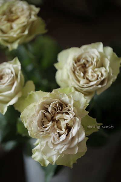 リテラチュールのブーケ