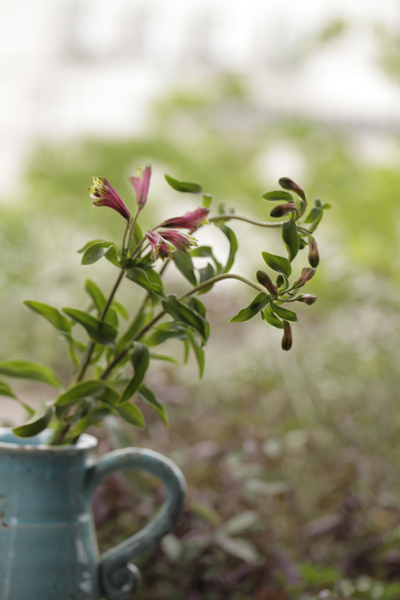 エクストリームのクラッチブーケ