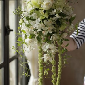 シンビジウムのキャスケード