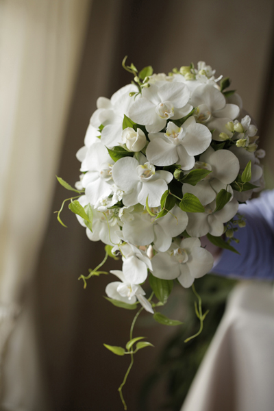 コチョウランのブーケ