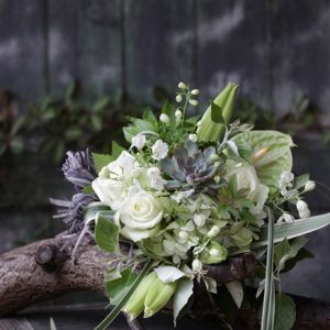 多肉植物のブーケ