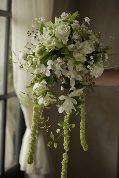 シンビジウムのキャスケード