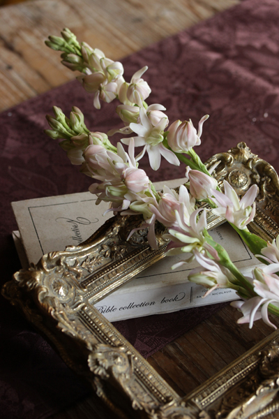 八重チューべローズ