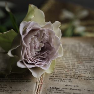 ラピスヴェール