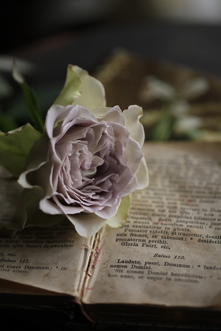 ラピスヴェール