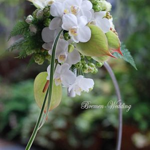 胡蝶蘭のデザインブーケ