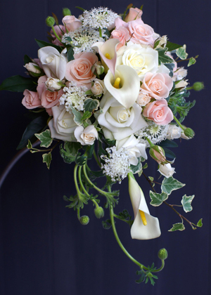 カラーのミニキャスケード