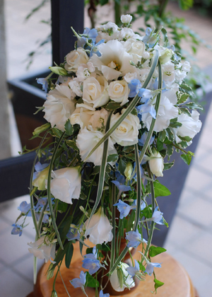 デルフィニュームのシャワーブーケ