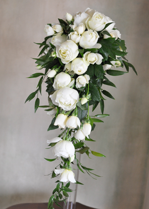 ブルゴーニュのスレンダーなキャスケード