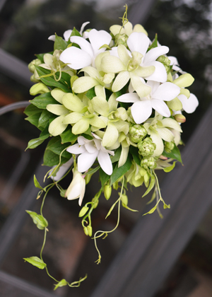 デンファレのブーケ