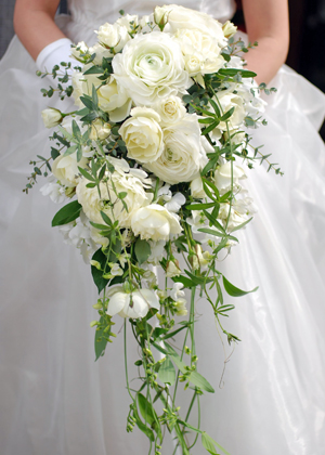 ラナンキュラスと‘ブルゴーニュ'のキャスケード