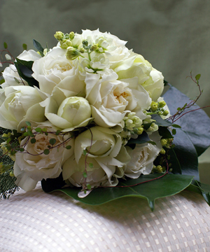 バラ‘シェドゥーブル'のラウンドブーケ