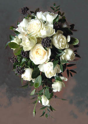 オールドローズとヘデラベリーのキャスケード