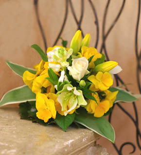 パンジーとクリスマスローズとチューリップ