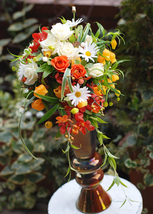 サンダーソニアのミニキャスケード