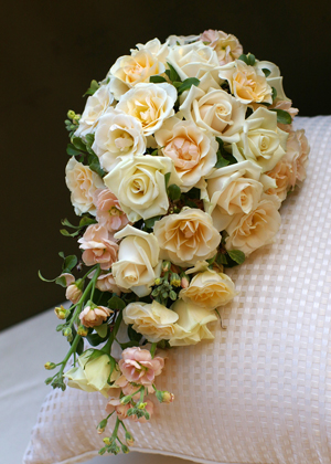 バラセミキャスケード