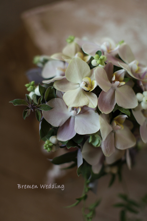 コチョウランのラウンドブーケ