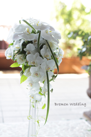 コチョウランのブーケ