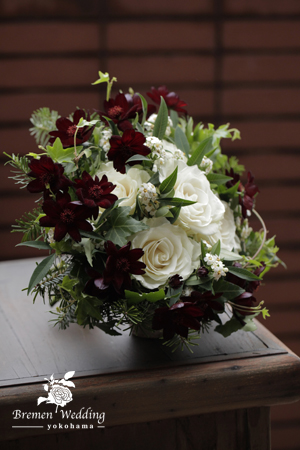 チョコレートコスモスでシックな雰囲気に