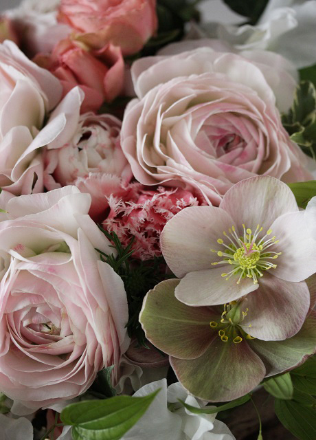 ラナンキュラスとクリスマスローズ